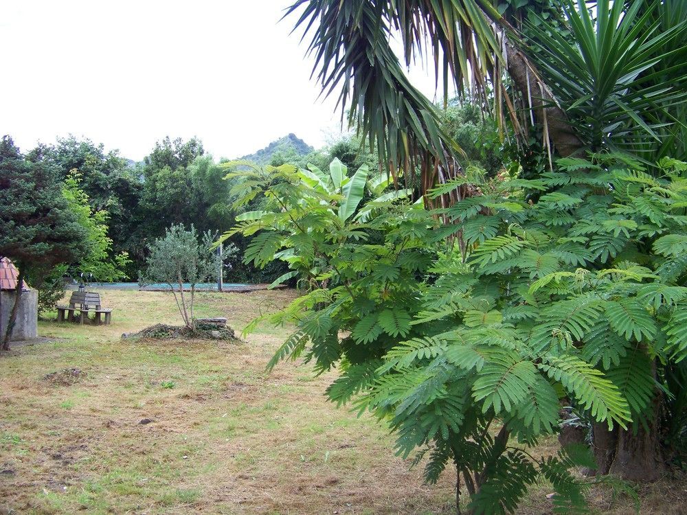 B&B El Jardin De Aes Puente Viesgo Luaran gambar